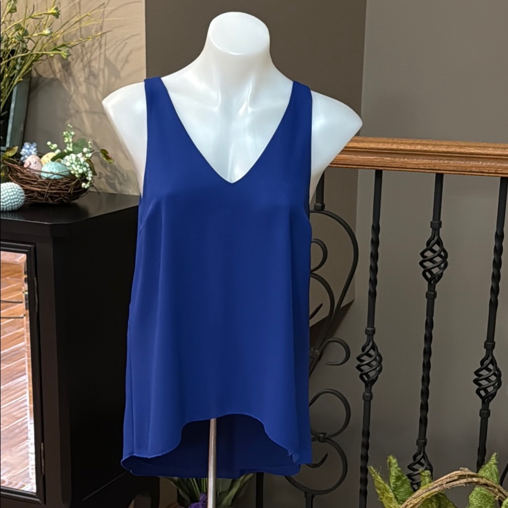Charles Porter dressy tank